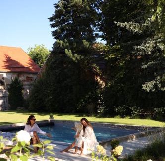 Stare Sedlo Villa | Darmyšl No13