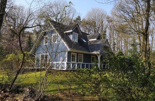 Hollnseth House | Das blaue Haus