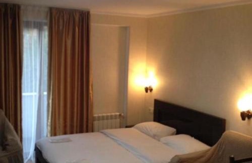 Bakuriani Hotel | David APT on Bakuriani Orbi Palace