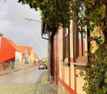 Kammerforst House | daZwischen Übernachten