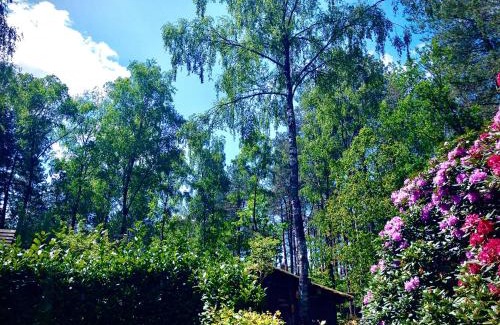 't Harde House | De Drie Beuken