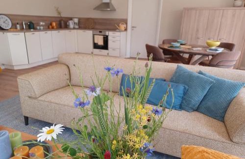 Noordbroek Apartment | De Korenbloem