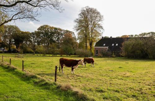 Valthe Apartment | De Lindenhoeve