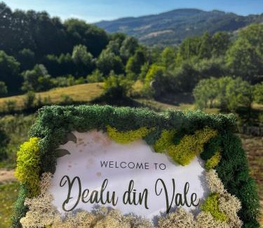 Pui Ski Chalet | Dealu din Vale