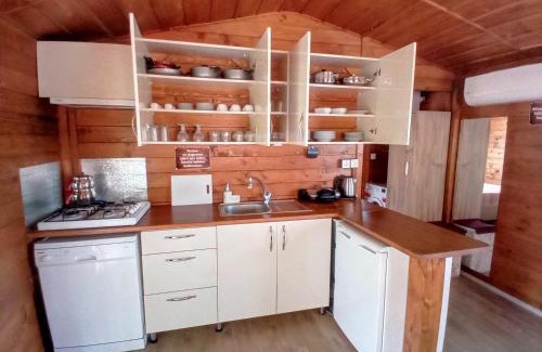 Gumusluk Apartment | DefneWoodHome