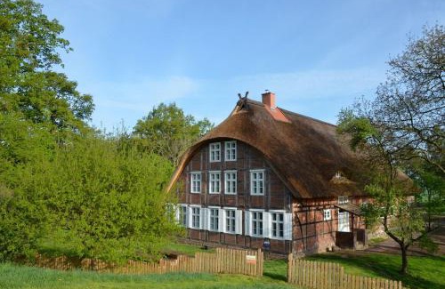 Modlich Apartment | Deichkind - Reetdachhaus direkt am Elbdeich