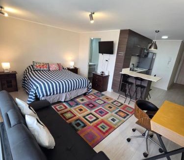 Vina del Mar Apartment | Delpinopropiedades 9 norte 450 entre 2 y 3 Poniente