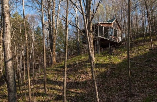 Durham Region Cabin | Deluxe Tree House 1 Hour from Toronto
