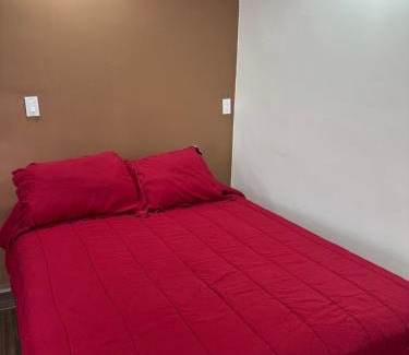 Primera Seccion Apartment | Departamento 1