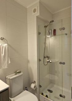 Pitrufquen Apartment | Departamento Centro Plaza 403