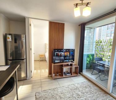 Downtown Santiago Apartment | Departamento Climatizado Parque Almagro