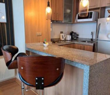 Concepcion Apartment | Departamento Confort