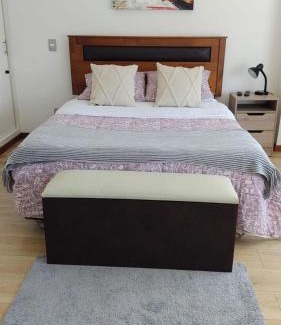 Osorno Apartment | Departamento Los Carrera Centro