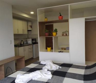 Rosario Apartment | Departamento Parque Alem