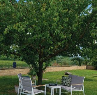 Civitella d'Agliano Apartment | Dependance Torretta Pucci