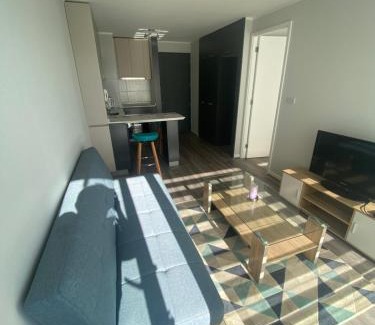 Concepcion Apartment | Depto nuevo en brisas del sol