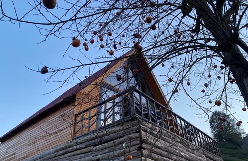Derepazarı Ski Chalet | Derepazarı/Rize -Bungalov