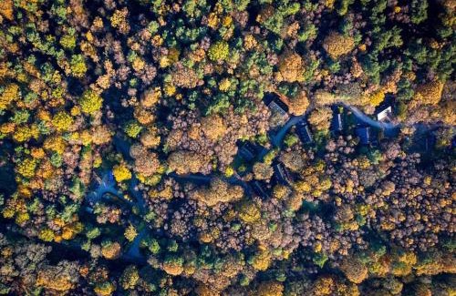 Farley House | Derwent, woodland lodge with hot tub for 6