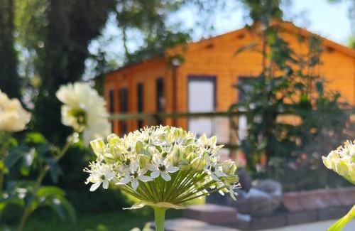 Tullaroan Ski Chalet | Desart School Garden Chalet