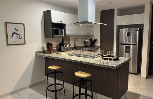 Providencia Apartment | Designer 3 BedRoom/Daily Cleaning
