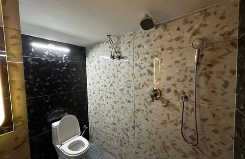 Janakpuri House | Desire Courtyard