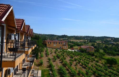 Kirklareli Hotel | Dessera Vineyards Hotel