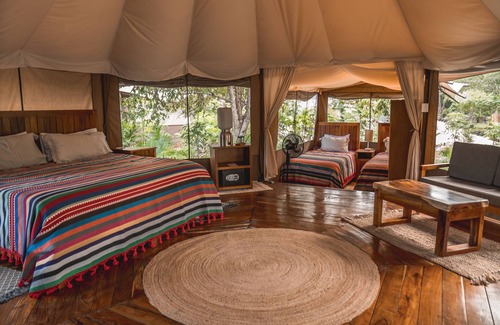 Tekit Hotel | Destino Mío Mayan Jungle Retreat