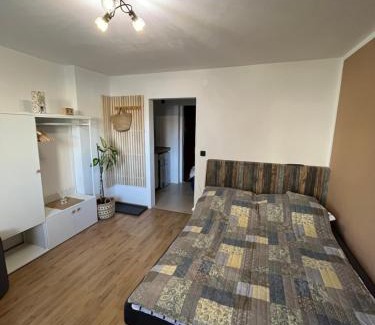 Kocevje Apartment | Deteljica