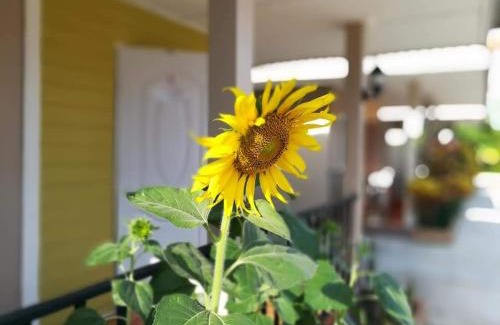 Prachinburi Resort | Deva Garden Resort