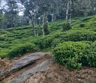 Vijaypur House | Dhamot Home Stay