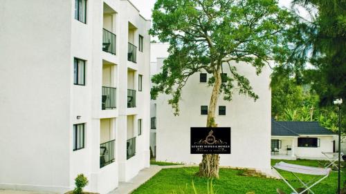 Western Province Apartment | DHE Luxury Suites & Hotels