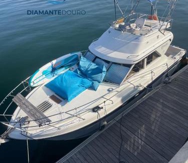 Porto Boat Rental | DIAMANTEDOURO - Boat