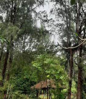 Lhoknga Cabin | Dian Rana Bungalow Lampuuk