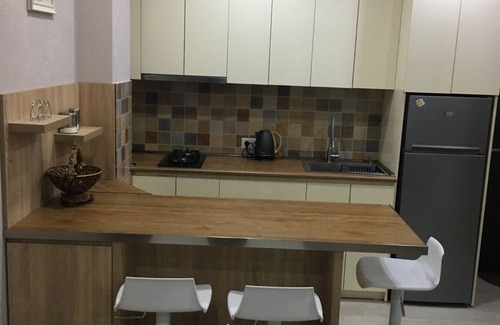 Bakuriani Apartment | Didveli residence, F block N16
