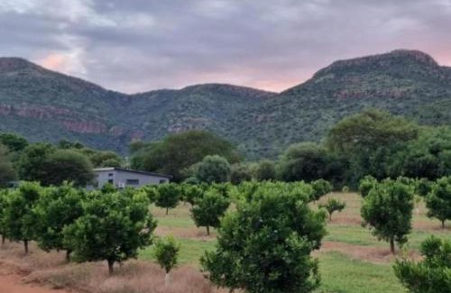 Lydenburg House | Die Boom Guest Farm