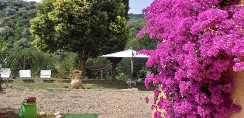 Roman Coast House | DIMORA IL CAMALEONTE apartments in nature with pool