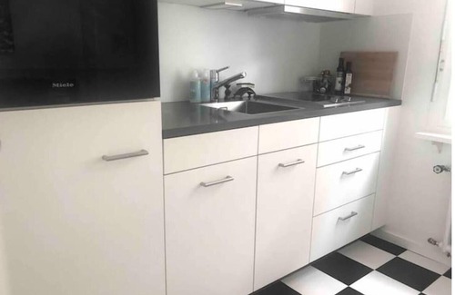 Basel City Centre Apartment | Directly on the Rhine: 40 sqm - BLUE LOUNGE apartment