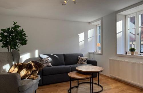 Freudenstadt Apartment | Direkt am Marktplatz - Freudenstadt und Schwarzwald erleben
