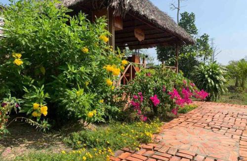 Phong Dien House | Discovery Mekong local's life - Breakfast TwoBoatTours Included for 2nights