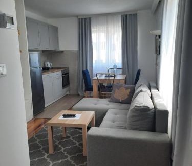 Zvezdara Apartment | Divizija Lux apartments