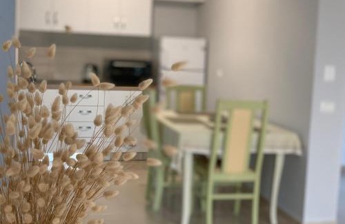 Divjake Apartment | Divjaka Apartments 2 - City Center