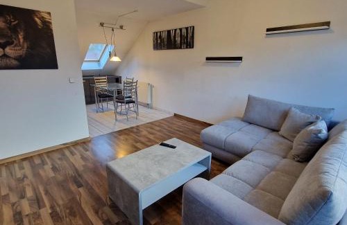 Dingelstaedt Apartment | DM Hotels & Apartments - Apartment Dosborn 5-9
