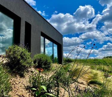 gmina Osiek Villa | DOBRE 23j - Dom nad jeziorem, z basenem i linią brzegową