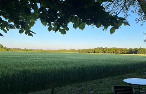 Arrien Apartment | Doevelsteeg Ommen