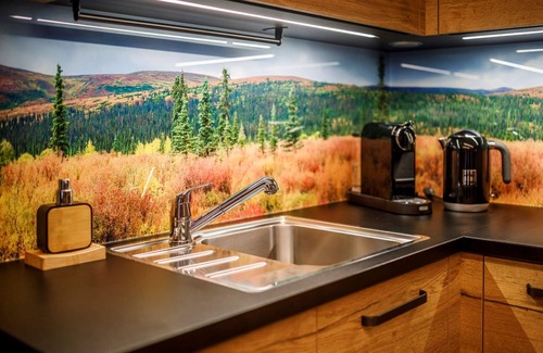 Dolni Morava Apartment | Dolní Morava 2 by Interhome