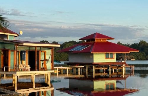 Bocatorito Hotel | Dolphin Blue Paradise