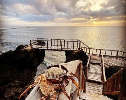 Shimoni House | Dolphin Suite 40 m2 in Villa 560 m2, Indian Ocean View