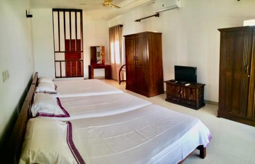 Beruwela House | Dolphin Villa