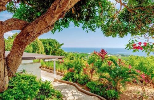Temukus Villa | Dolphin Villa Lovina