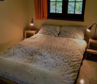 Lesna Apartment | Dom Gościnny Leniuchy